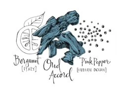 Atelier Cologne Oud Saphir -Parfum Élégance Promos Magasin atelier cologne oud saphir eau de parfum mixte 1