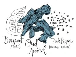 Atelier Cologne Oud Saphir -Parfum Élégance Promos Magasin atelier cologne oud saphir eau de parfum mixte 5