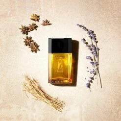 Azzaro Azzaro Pour Homme 9 Azzaro Azzaro Pour Homme -Parfum Élégance Promos Magasin azzaro azzaro pour homme eau de toilette pour homme 3