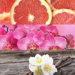 Calvin Klein CK IN2U -Parfum Élégance Promos Magasin calvin klein ck in2u eau de toilette pour femme 2