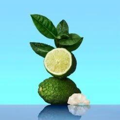 Calvin Klein CK One -Parfum Élégance Promos Magasin calvin klein ck one eau de toilette mixte 2