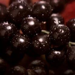 Calvin Klein My Euphoria -Parfum Élégance Promos Magasin calvin klein my euphoria eau de parfum pour femme 5