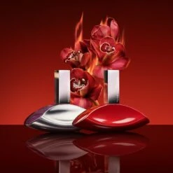 Calvin Klein My Euphoria -Parfum Élégance Promos Magasin calvin klein my euphoria eau de parfum pour femme 6