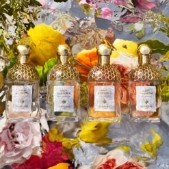 GUERLAIN Aqua Allegoria Nerolia Vetiver -Parfum Élégance Promos Magasin guerlain aqua allegoria nerolia vetiver eau de toilette rechargeable pour femme 6