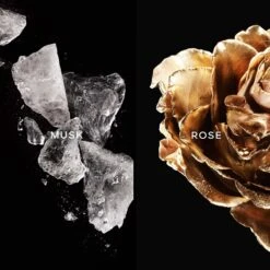 GUERLAIN Les Absolus D'Orient Musc Noble 6 GUERLAIN Les Absolus D'Orient Musc Noble -Parfum Élégance Promos Magasin guerlain les absolus dorient musc noble eau de parfum mixte 2