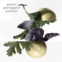 Hermès HERMÈS Colognes Collection Eau De Basilic Pourpre -Parfum Élégance Promos Magasin hermes colognes collection eau de basilic pourpre eau de cologne mixte 2