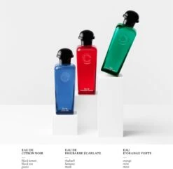 Hermès HERMÈS Colognes Collection Eau De Citron Noir -Parfum Élégance Promos Magasin hermes colognes collection eau de citron noir eau de cologne pour homme 4