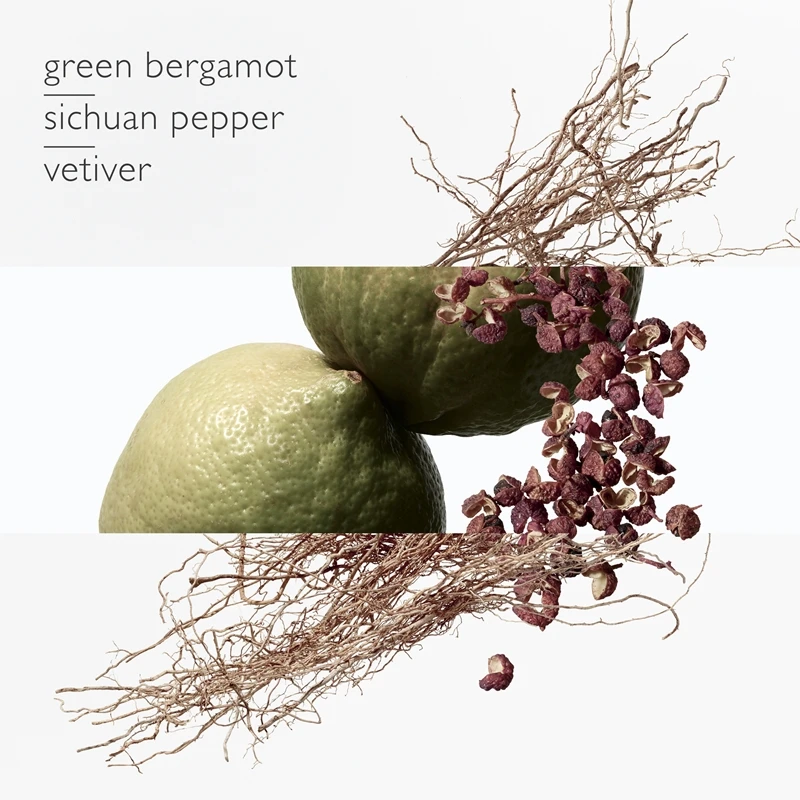 HERMÈS Terre D’Hermès Eau Intense Vétiver 3 HERMÈS Terre D’Hermès Eau Intense Vétiver – Image 3