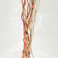 Hugo Boss BOSS Alive Parfum -Parfum Élégance Promos Magasin hugo boss boss alive parfum parfum pour femme 4