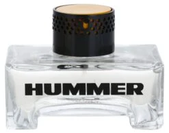 Hummer Hummer