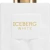 Iceberg White