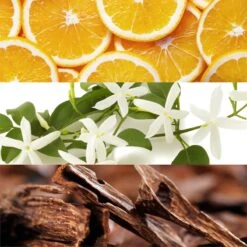 Lacoste Touch Of Pink -Parfum Élégance Promos Magasin lacoste touch of pink eau de toilette pour femme 1