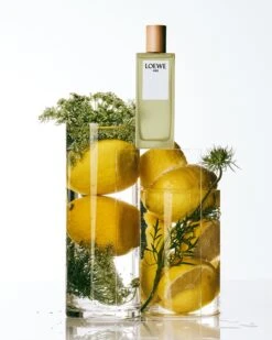 Loewe Aire -Parfum Élégance Promos Magasin loewe aire eau de toilette pour femme 1