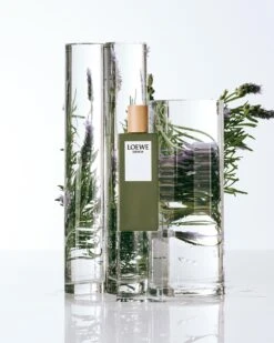 Loewe Esencia -Parfum Élégance Promos Magasin loewe esencia eau de toilette pour homme 1