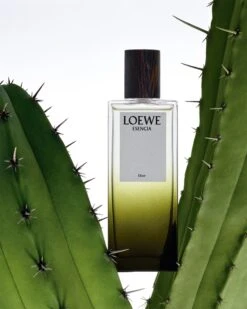 Loewe Esencia Elixir -Parfum Élégance Promos Magasin loewe esencia elixir parfum pour homme 2