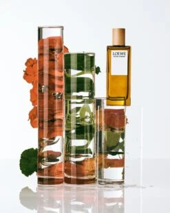 Loewe Loewe Pour Homme 5 Loewe Loewe Pour Homme -Parfum Élégance Promos Magasin loewe loewe pour homme eau de toilette pour homme 1