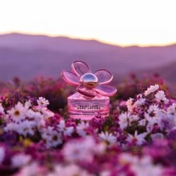 Marc Jacobs Daisy Love Paradise 8 Marc Jacobs Daisy Love Paradise -Parfum Élégance Promos Magasin marc jacobs daisy love paradise eau de toilette limited edition pour femme 3
