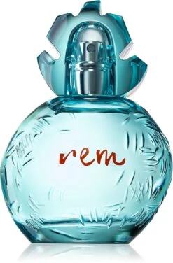 Reminiscence Rem