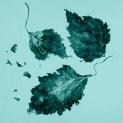 Tiffany & Co. Tiffany & Co. -Parfum Élégance Promos Magasin tiffany co tiffany co eau de parfum pour femme 4